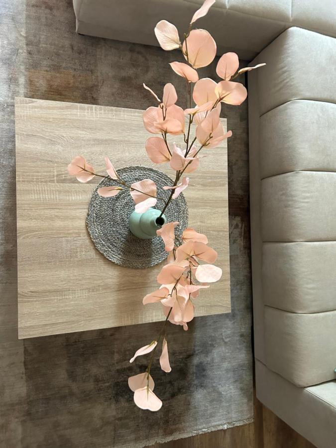 Apartman Teodora 수보티차 외부 사진