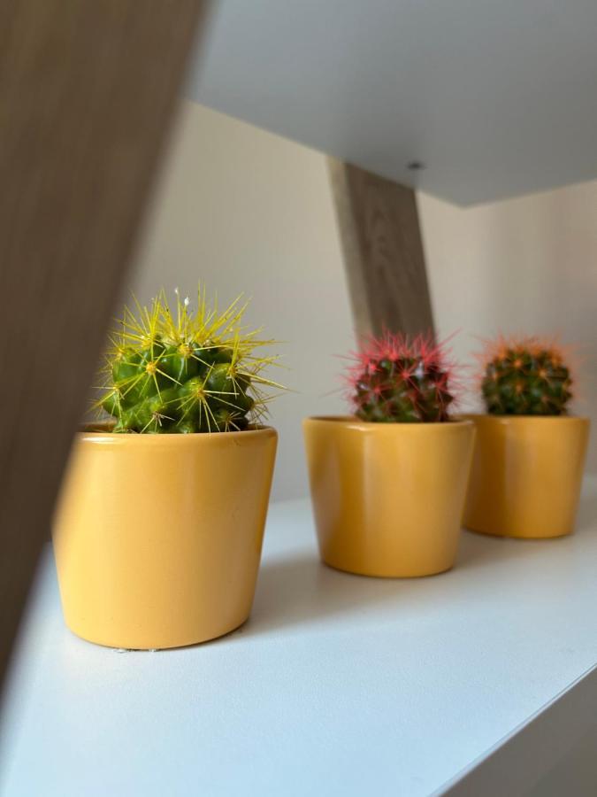 Apartman Teodora 수보티차 외부 사진