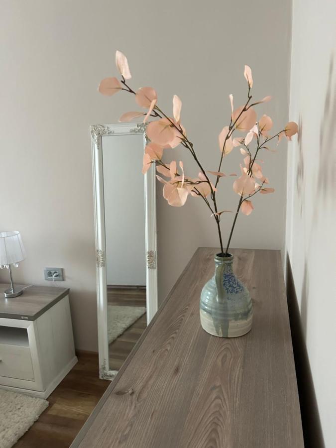Apartman Teodora 수보티차 외부 사진