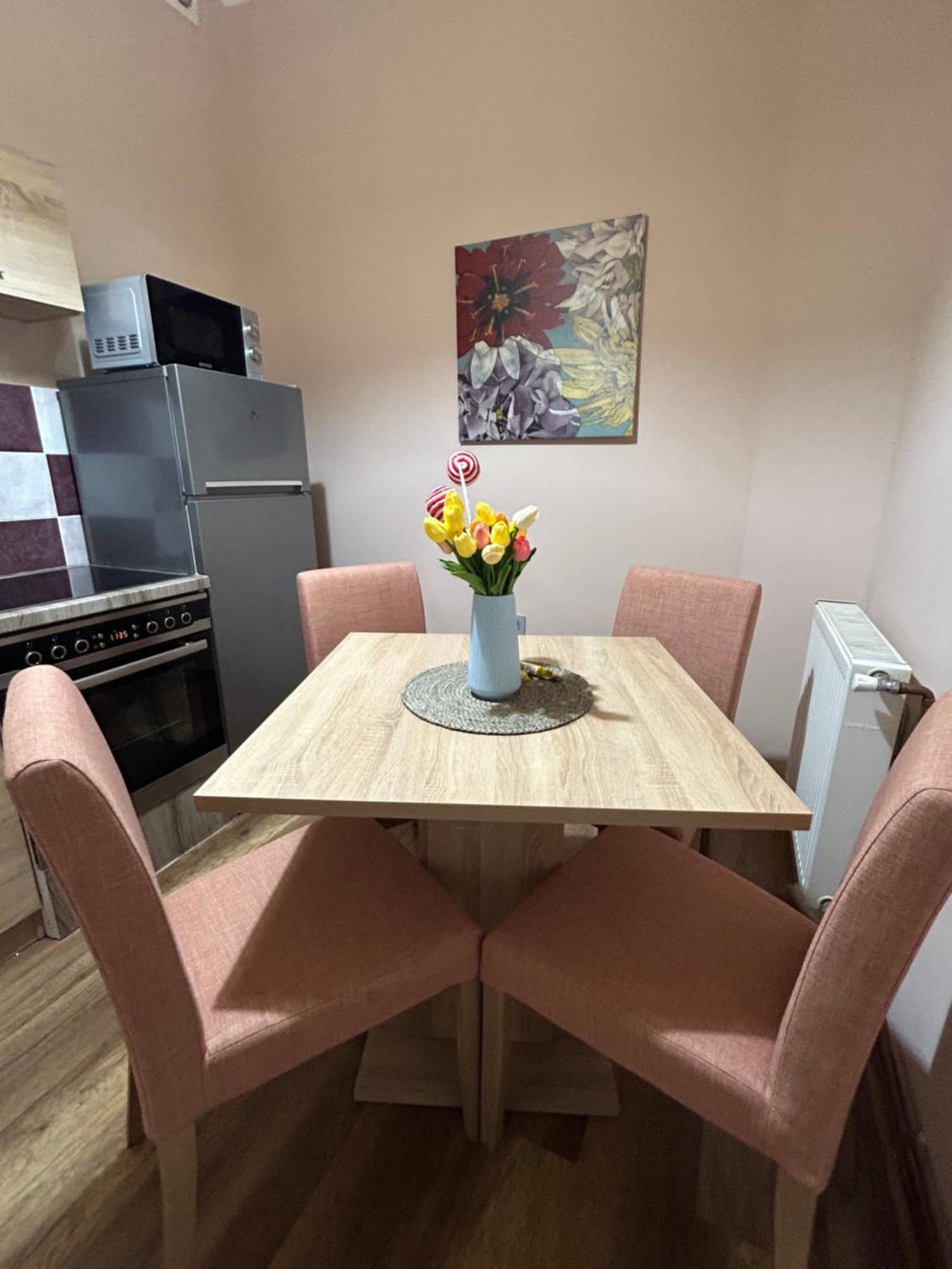 Apartman Teodora 수보티차 외부 사진
